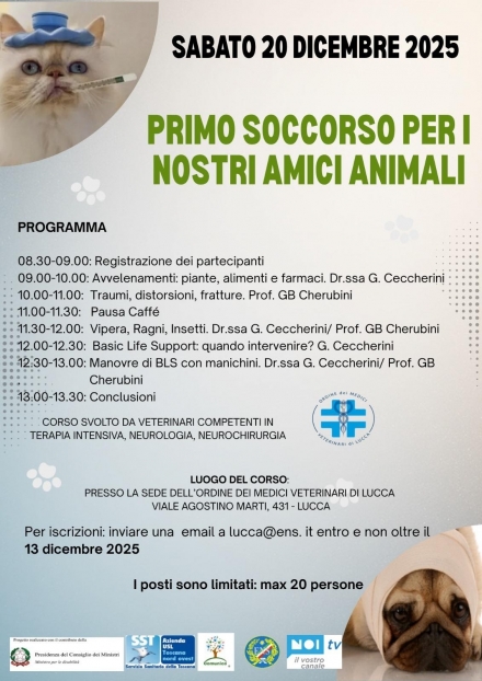 🐾 Impara a proteggere chi ti ama senza parole 🐾 ❤️ - Comunico®